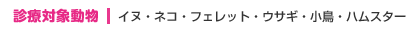 �f�@�Ώۓ��� | �C�k�E�l�R�E�t�F���b�g�E�E�T�M�E�����E�n���X�^�[